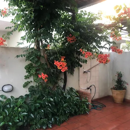 Residenza Smeraldo In Baia Gallipoli